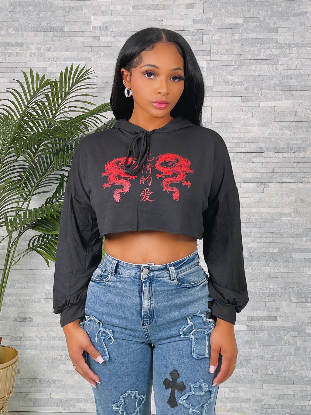 Twin Dragons Print Cropped Hoodie